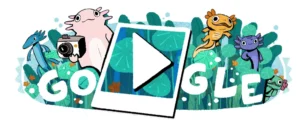 google search